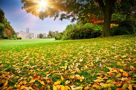 Sunny Autumn Day in City Park Stock Photo - Image of outdoors, park ...