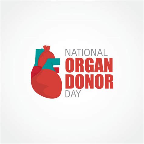 Organ Donor Card Illustrations, Royalty-Free Vector Graphics & Clip Art - iStock