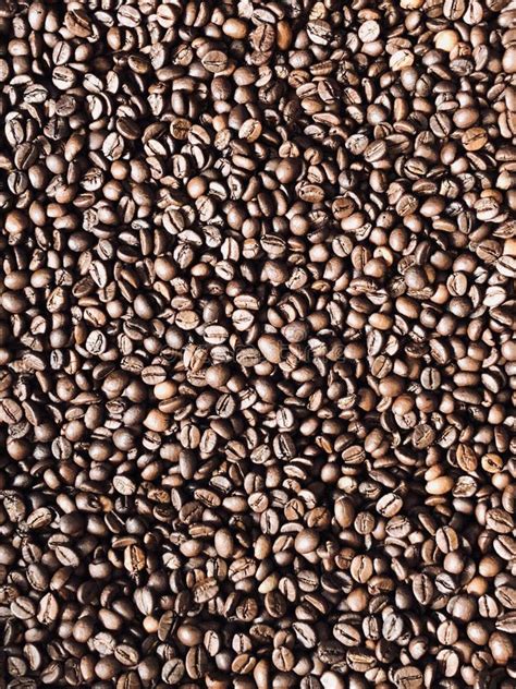 The Process of Roasting Coffee Beans Stock Image - Image of industry ...