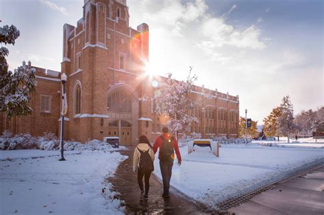 ‘Bears in the Backyard’: Greeley’s Homage to Its University ...