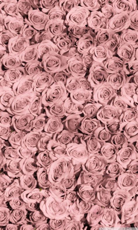 Pink Roses Vintage Wallpapers - Top Free Pink Roses Vintage Backgrounds ...