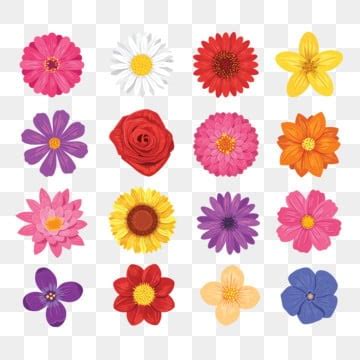 Flower Vector PNG, Vector, PSD, and Clipart With Transparent Background for Free Download | Pngtree