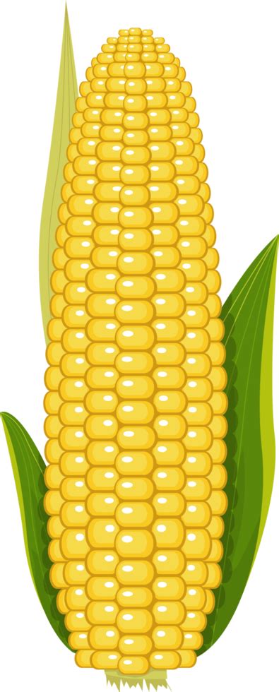 Corn PNGs for Free Download