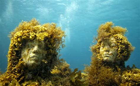 GOING ON ADVENTURES: Cancun Underwater Museum and Visitors Center