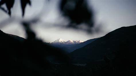 Harmonizing the Sacred: Uncovering the Spiritual Role of the Coca Leaf in Andean Culture ...