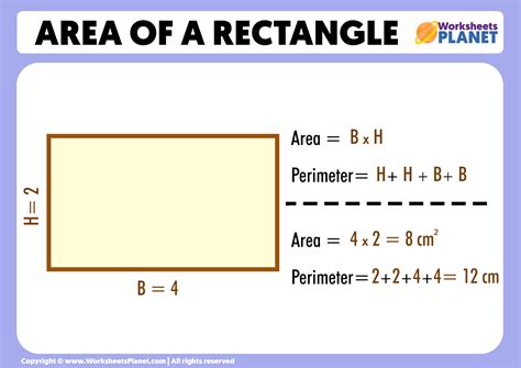 Area of a Rectangle (Formula + Example)