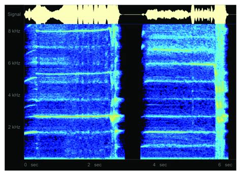 Spectrogram of piston whistle, experimental model, overblown, two... | Download Scientific Diagram