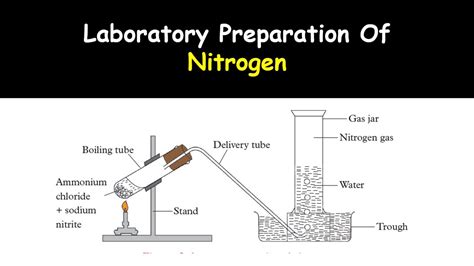 Laboratory Preparation Of Nitrogen - YouTube