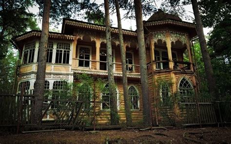 Abandoned house in the forest | Stock Photo | Colourbox