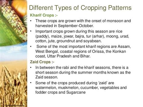 Cropping pattern