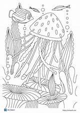 17 Free jellyfish coloring pages  ESL Vault sketch template