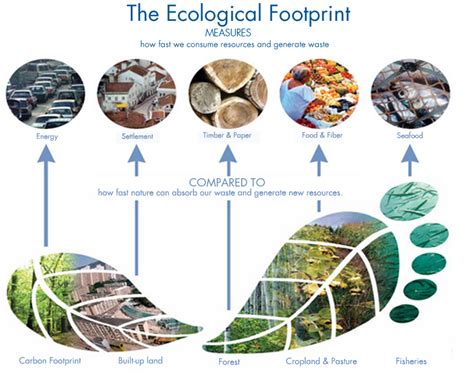 Ecology And Ecosystem