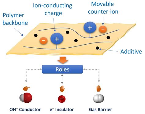 Polymers | Free Full-Text | A Brief Review of Poly(Vinyl Alcohol)-Based Anion Exchange Membranes ...