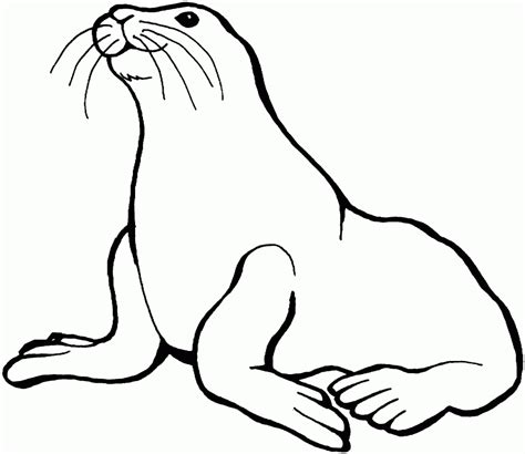 Sea Lion Coloring Page - Coloring Home