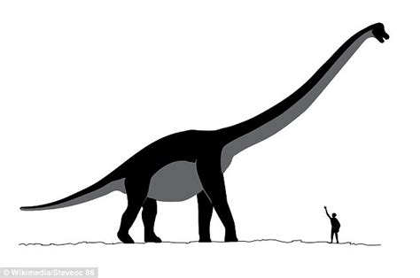 World’s biggest dinosaur footprint as large as a man is found in 140 ...