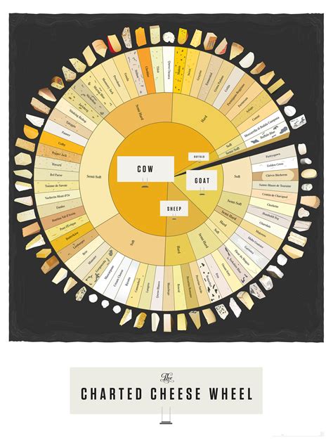 The Cheese Wheel: A Guide To Different Kinds of Cheese : r/coolguides