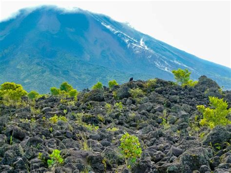 Arenal Volcano National Park Guide + Tours Recommendations