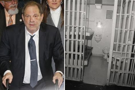 Harvey Weinstein hires ‘prison prepper’ to help him get ready for decades in jail – The Irish Sun