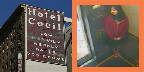 Elisa Lam's disappearance at the Cecil Hotel: All the theories