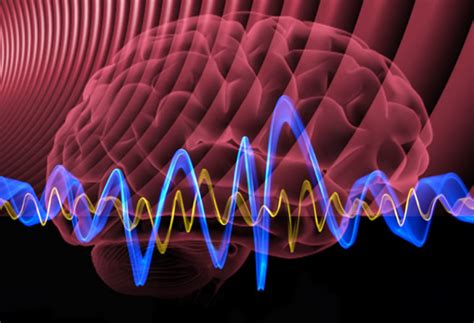 What Are Brain Waves (Theta, Delta, Alpha, Beta Brain Waves)? What Is ...