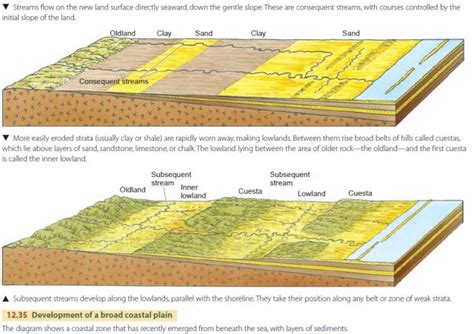 Landforms and Rock Structure