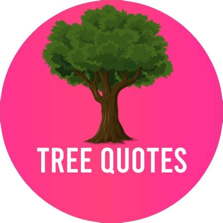 30+ Best tree quotes in August 2024