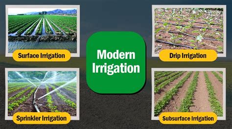 Irrigation system planning and construction by PK Halder