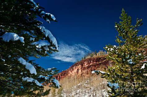 Winter Sandstone Cliff Photograph by Ron Lupianez - Fine Art America