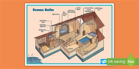 Roman Baths Diagram Display Poster (l'enseignant a fait)