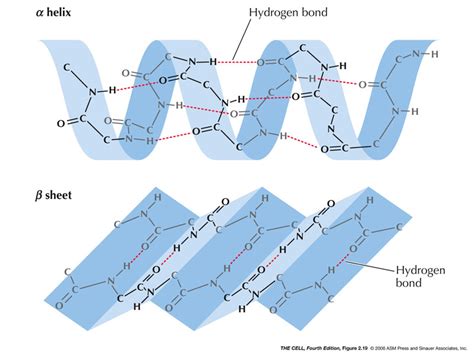 Cell Chemistry