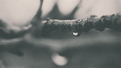 Wallpaper : 1920x1080 px, macro, water drops 1920x1080 - CoolWallpapers - 1194312 - HD ...