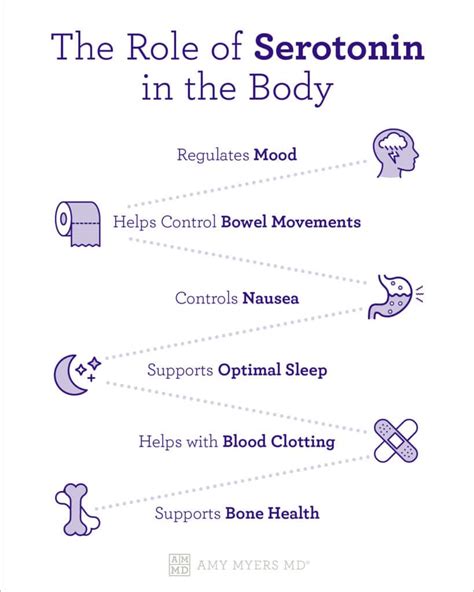 Serotonin & The Gut: The Gut-Brain Axis | Amy Myers MD