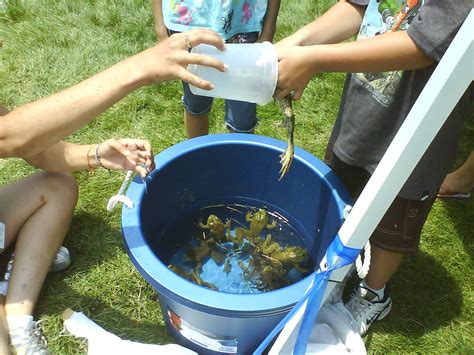 Dublin Kiwanis Annual Frog Jump Festival - Dublin, Ohio