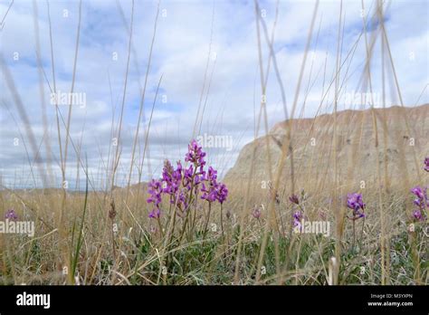 Badlands National Park Stock Photo - Alamy