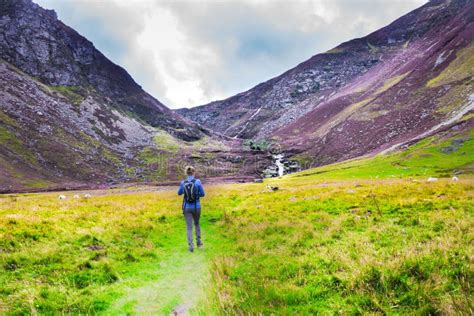 Hiking Trail In Cairngorms National Park, Scotland, UK Stock Photo ...