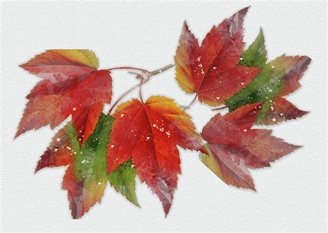 Watercolor Autumn Leaves Painting Painting by Elaine Plesser - Fine Art America