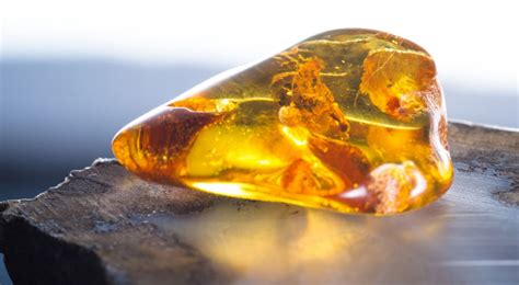 Unveiling the Meaning of Baltic Amber - All You Need to Know