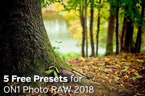 5 Free Presets for ON1 Photo RAW 2018