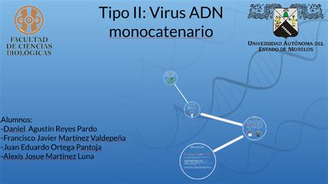 Virus ADN by Daniel Reyes on Prezi