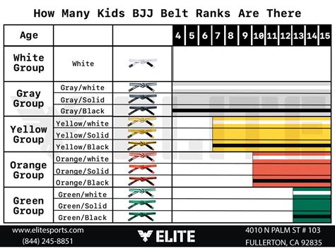 A Detailed Guide To The Kids Jiu-Jitsu Belts Ranking System, 60% OFF