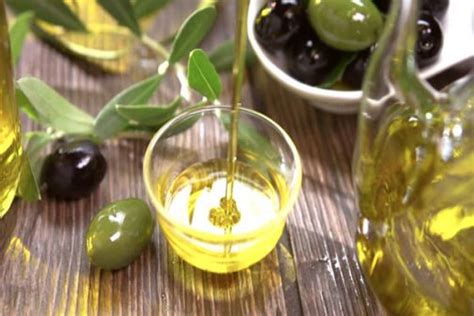 Benefits Of Ozonated Olive Oil – VlakenBerg & OL+ZONE Healing Oil