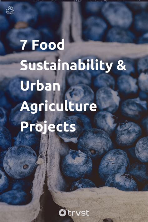 7 urban agriculture food sustainability projects – Artofit