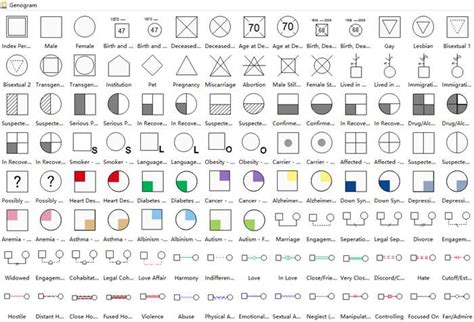 Standard Genogram Symbols | Family genogram, Genogram template, Genogram example