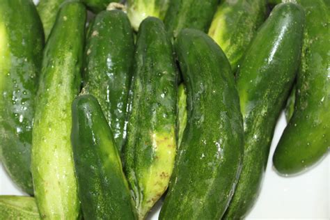 Dill Pickle Relish Recipe - Make Your Own From Fresh Cucumbers