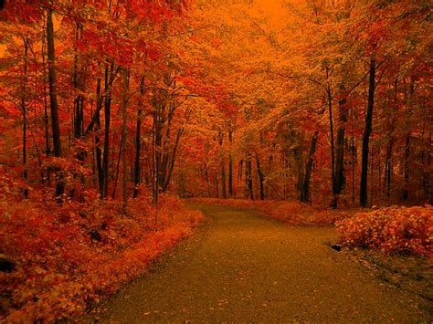 Free Autumn Backgrounds - Wallpaper Cave