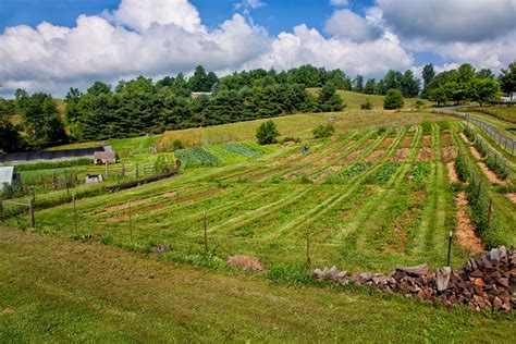 Homestead Hill Farm: Rich in Other Ways