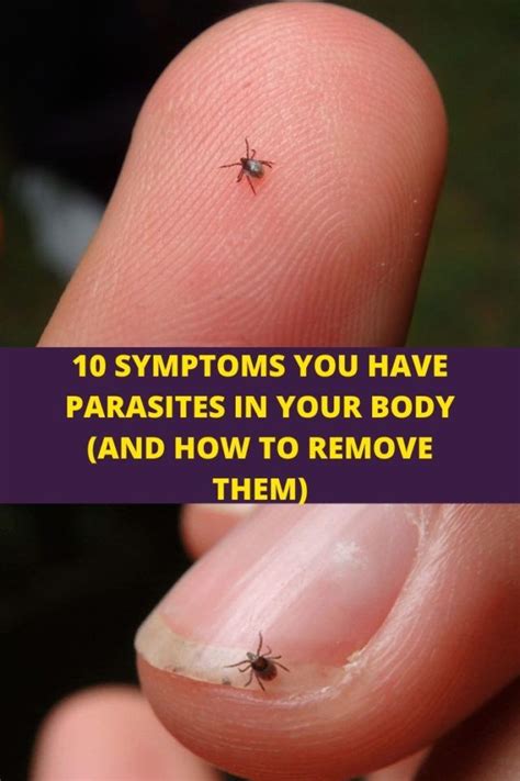 10 SYMPTOMS YOU HAVE PARASITES IN YOUR BODY (AND HOW TO REMOVE THEM ...