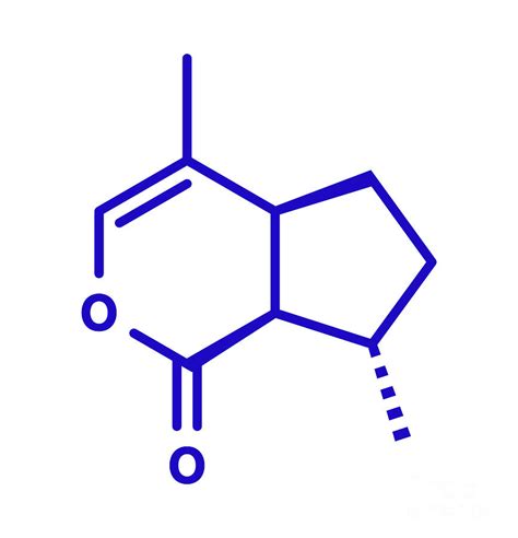 Nepetalactone Catnip Cat Attractant Molecule #2 Photograph by Molekuul/science Photo Library ...