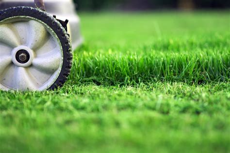 Cutting Your Grass at the Right Height - Mowing - Sod Resources | ScienTurfic Sod