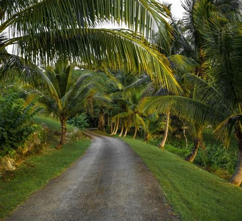 Jamaican culture and traditions - Aquamarina Villa